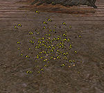 Swarm of Bees (summon).jpg