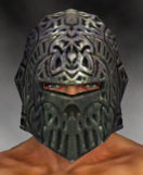 Warrior Elite Platemail armor m gray front head.jpg