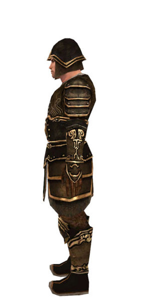 File:Warrior Shing Jea armor m dyed left.jpg