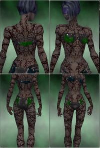 Screenshot Necromancer Elite Scar Pattern f dyed Green.jpg