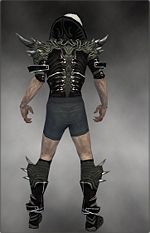 Necromancer Elite Luxon armor m gray back chest feet.jpg