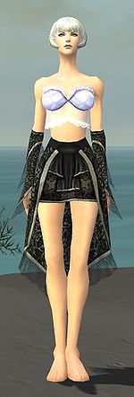 Elementalist Elite Canthan armor f gray front arms legs.jpg