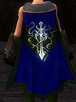 Guild Defenders of Existence cape.jpg
