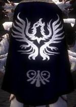 Guild Legion Of The Dauntless Knights cape.jpg