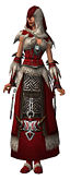 Dervish Norn armor f.jpg