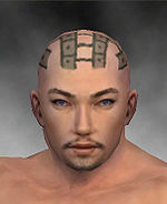 Monk Luxon armor m gray front head.jpg