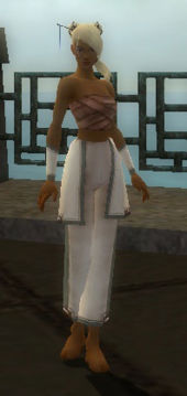 Monk Sacred armor f gray front arms legs.jpg