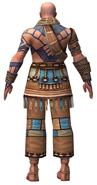 File:Monk Luxon armor m dyed back.jpg
