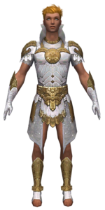 Paragon Elonian armor m dyed front.png