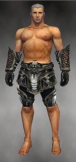Warrior Elite Kurzick armor m gray front arms legs.jpg