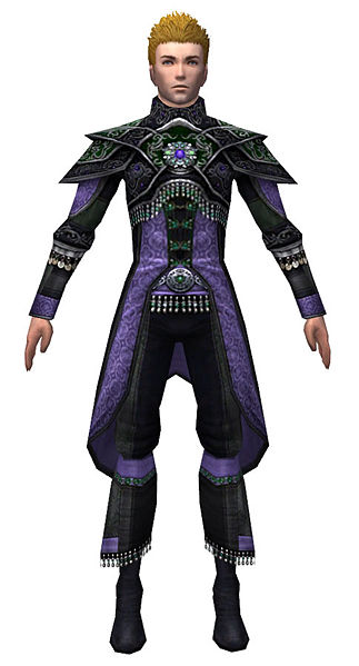 File:Elementalist Elite Luxon armor m dyed front.jpg