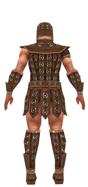 File:Warrior Ascalon armor m dyed back.jpg