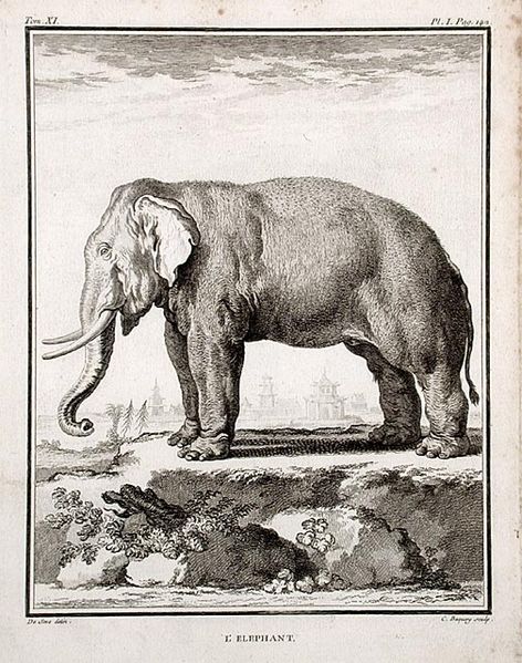 File:User Elephant Elephant De Seve 18th century.jpg