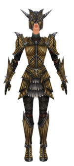 Warrior Wyvern armor f dyed front.jpg