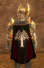 Guild Dunedain Of Arda cape.jpg