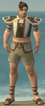 Monk Elite Saintly armor m gray front chest feet.png