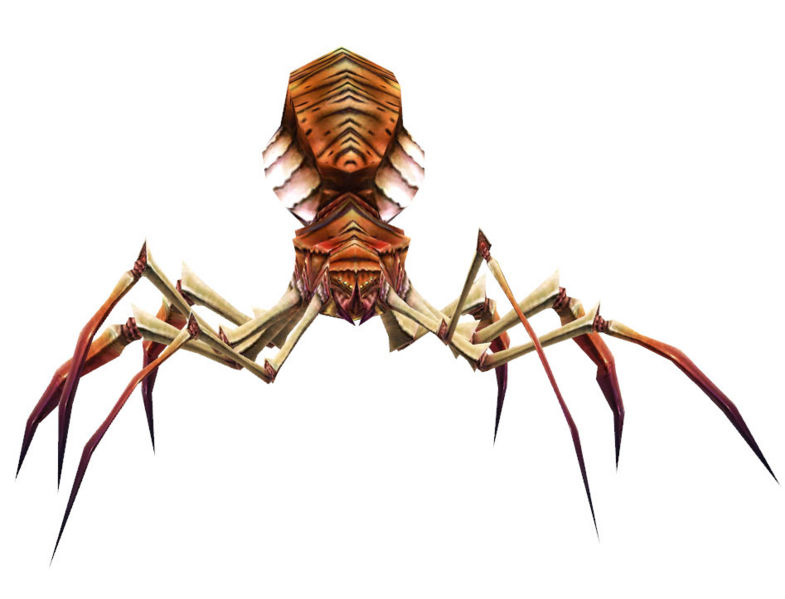 File:Brown spider.jpg