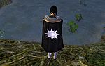 Guild All Pro Dragon cape.jpg