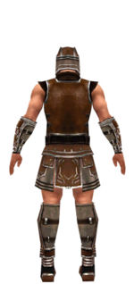 Warrior Istani armor m dyed back.jpg