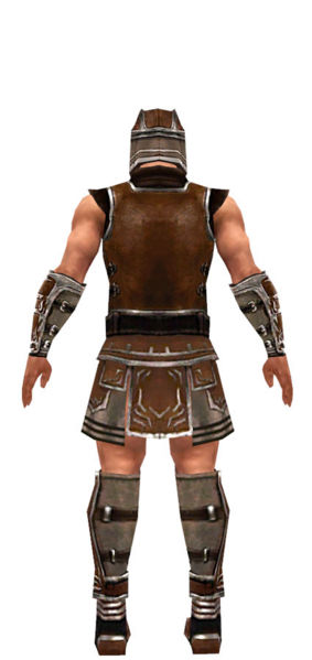File:Warrior Istani armor m dyed back.jpg