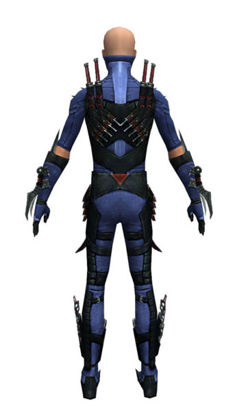 File:Assassin Elite Canthan armor m dyed back.jpg
