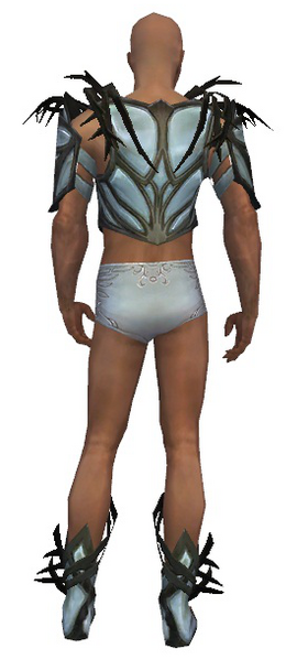 File:Paragon Primeval armor m gray back chest feet.png