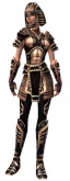 Warrior Ancient armor f.jpg