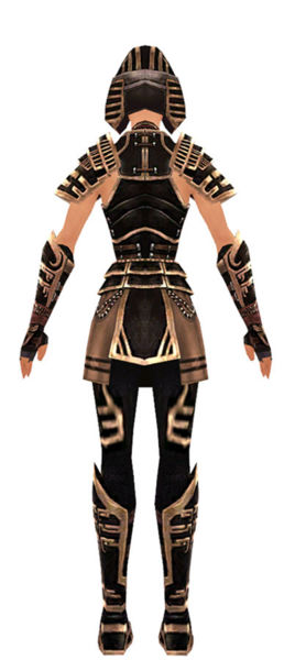 File:Warrior Ancient armor f dyed back.jpg