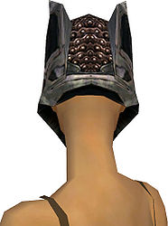Warrior Elite Kurzick armor f gray back head.jpg