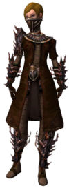 Ranger Ancient armor f.jpg