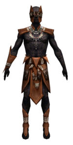 Ritualist Kurzick armor m dyed front.jpg