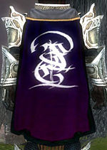 Guild Mystic Spiral cape.jpg