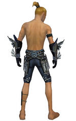 Assassin Asuran armor m gray arms legs back.png
