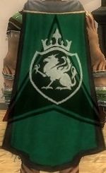 Guild Change Of Heart And Colors cape.jpg