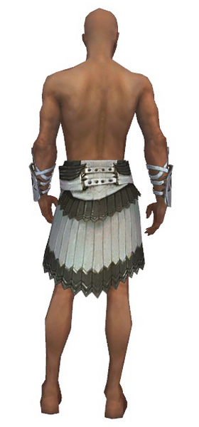File:Paragon Sunspear armor m gray back arms legs.png