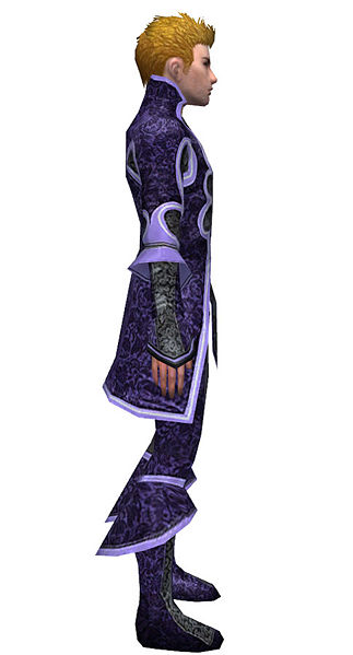 File:Elementalist Elite Canthan armor m dyed right.jpg