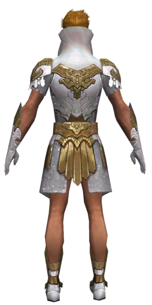 File:Paragon Elonian armor m dyed back.png