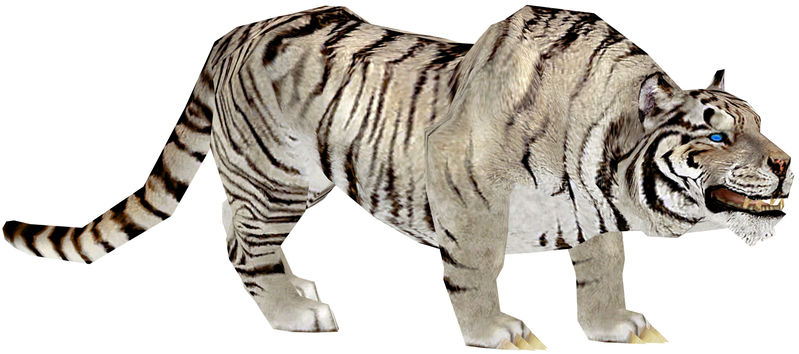 File:White Tiger.jpg