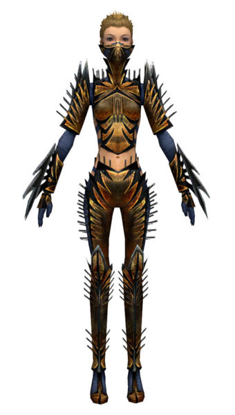 File:Assassin Elite Exotic armor f dyed front.jpg