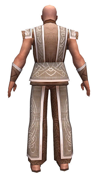 File:Monk Tyrian armor m dyed back.jpg