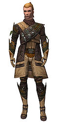 Ranger Elite Druid armor m.jpg