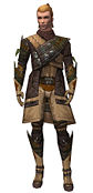 Ranger Elite Druid armor m.jpg