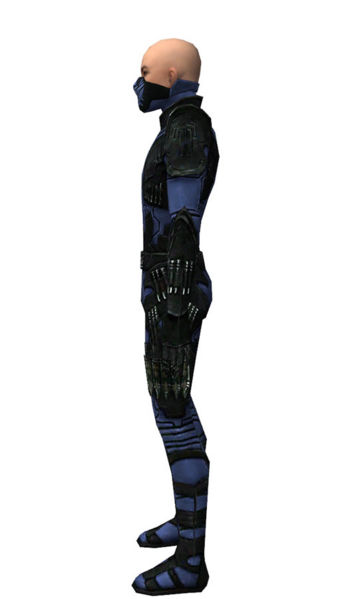 File:Assassin Kurzick armor m dyed left.jpg