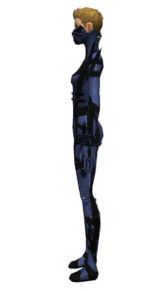 File:Assassin Obsidian armor f dyed left.jpg