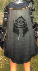 Guild Order of the Republic cape.png