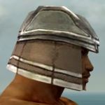 Warrior Istani armor m gray right head.jpg