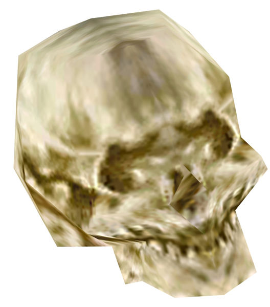 File:Bones Skull.jpg