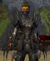 Assassin Ancient armor Acquired: Yes Runed up: Yes (Mask: Yes)