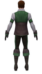 Mesmer Performer armor m dyed back.jpg