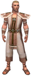 Monk Elite Saintly armor m.jpg